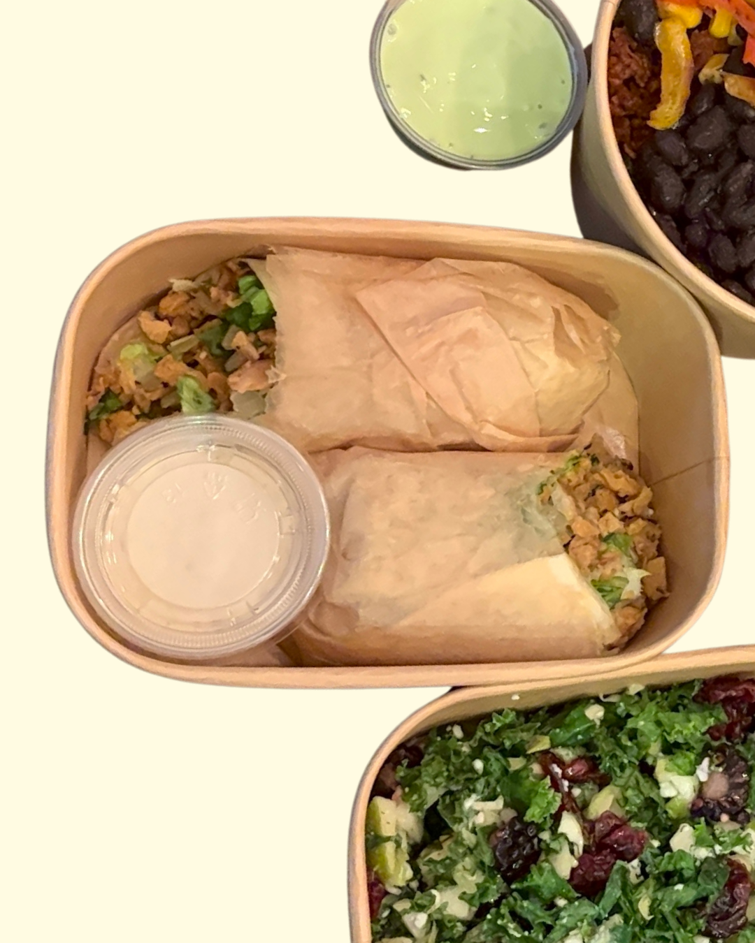 Protein Ceasar Salad Wrap